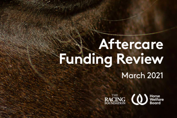 Horse Welfare Board’s Aftercare Funding Review recommends strategic approach to aftercare Image Horse Welfare Board’s Aftercare Funding Review recommends strategic approach to aftercare Image